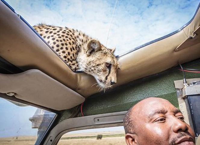 前方危險(xiǎn)！請(qǐng)注意安全！